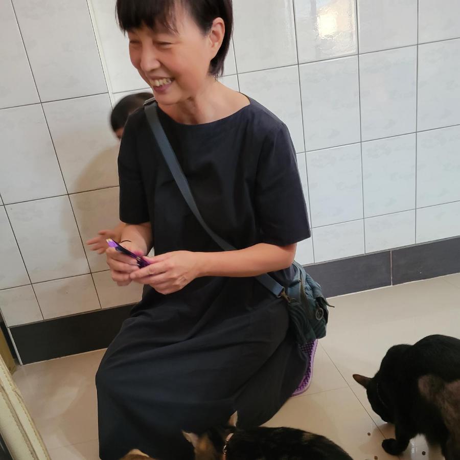 Qg Life 城中館 寵物親子釣魚人民宿 Цзиньчэн Экстерьер фото